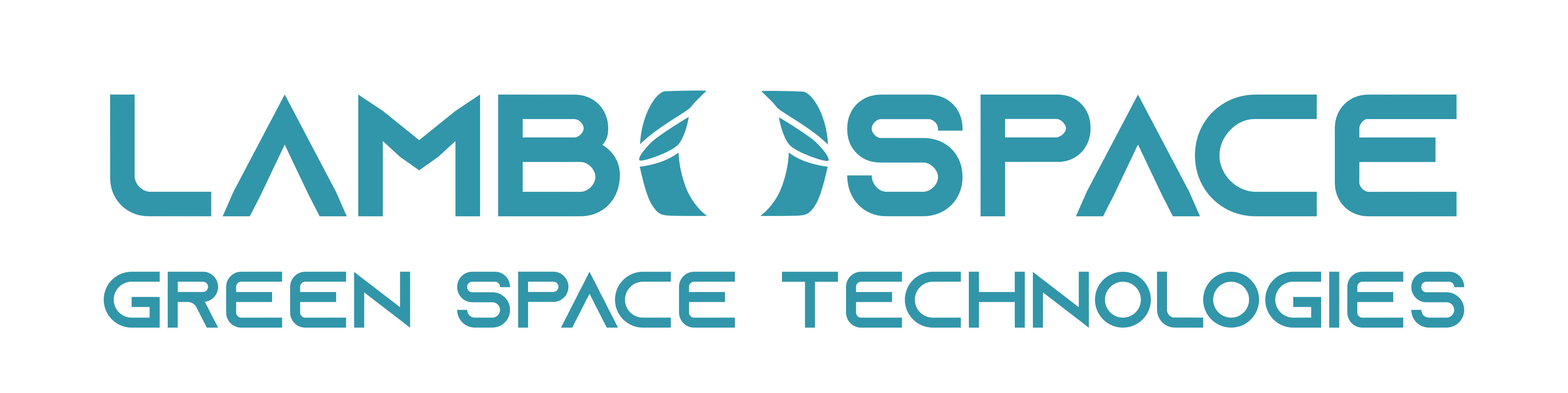 Cubesats logo